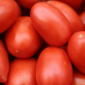 Roma Tomatoes 1 pound