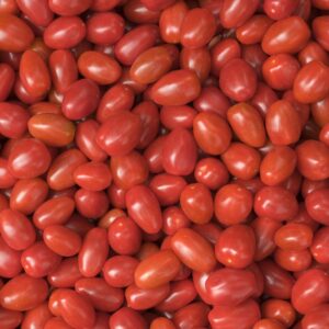 Red Cherry Tomatoes 1/2 lb