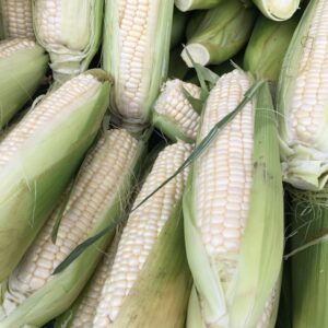 Sweet Corn 1 ear